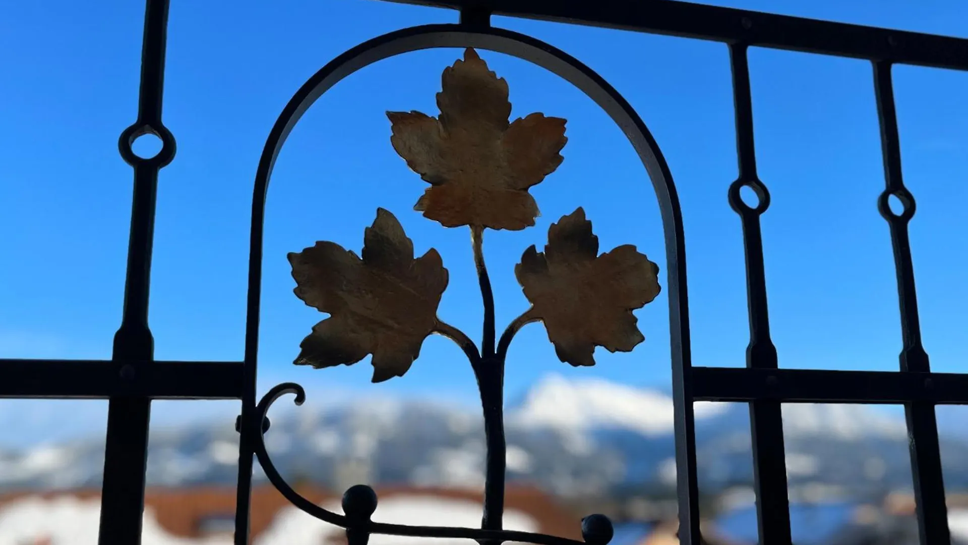 Kinder&Babyurlaub- Haus Bergahorn Bolsterlang